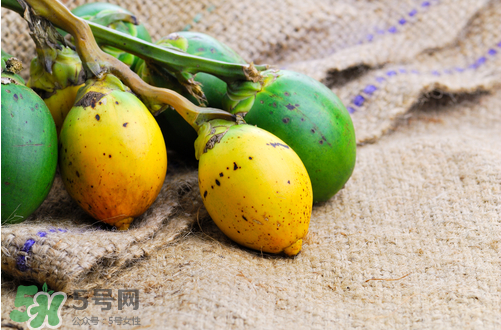 檳榔什么味道？正宗的檳榔是什么味道？