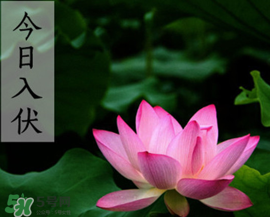 2017年頭伏是幾月幾號(hào)？2017年入伏第一天是幾月幾號(hào)？