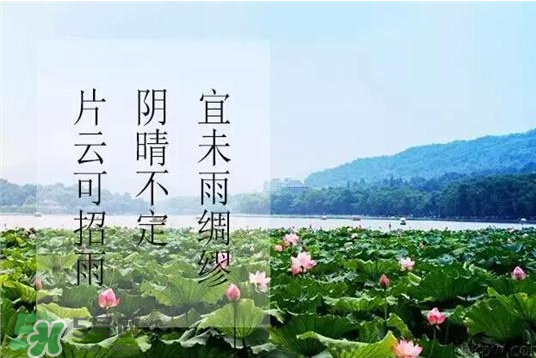 2017年幾月幾號(hào)入伏？入伏是幾月幾號(hào)2017？