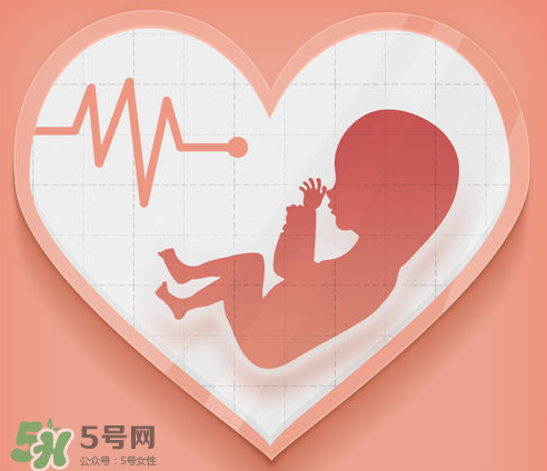 胎心儀可以天天用嗎？胎心儀的使用頻率