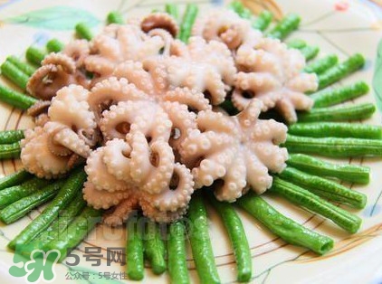 八爪魚(yú)頭里面的能吃嗎？八爪魚(yú)的墨汁可以吃嗎