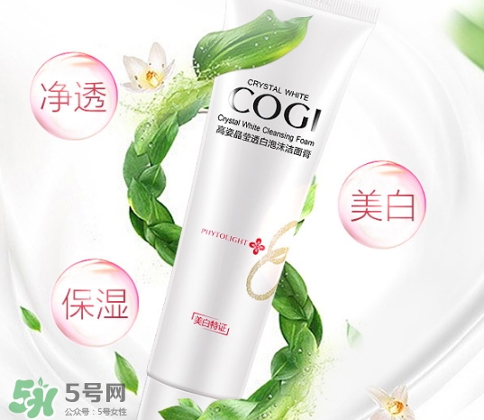 高姿洗面奶多少錢？高姿洗面奶真假查詢