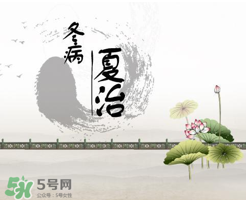 2017年三伏貼什么時(shí)候貼？2017年三伏貼貼幾天？