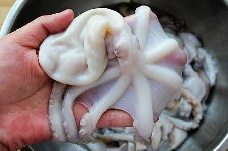 章魚是魚嗎？章魚有什么營養(yǎng)價(jià)值？