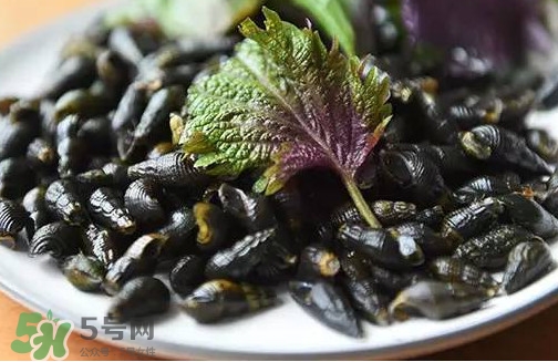 紫蘇是什么植物？紫蘇是發(fā)物嗎？