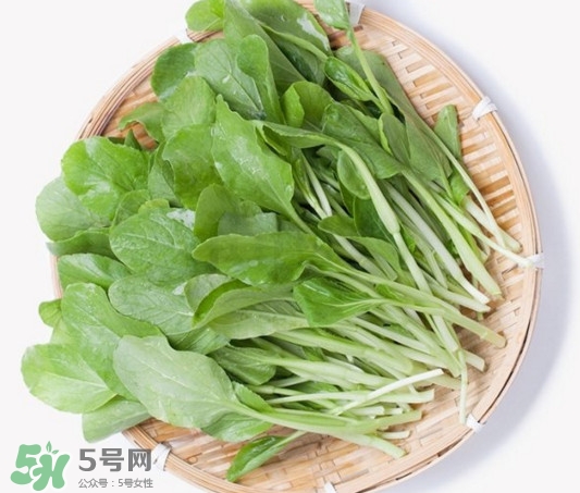 雞毛菜有什么營(yíng)養(yǎng)價(jià)值？雞毛菜的功效與作用