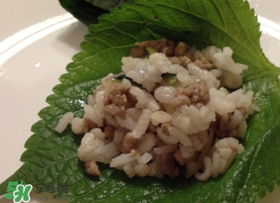 紫蘇和羅勒是一種東西嗎？紫蘇葉對(duì)人體有什么好處