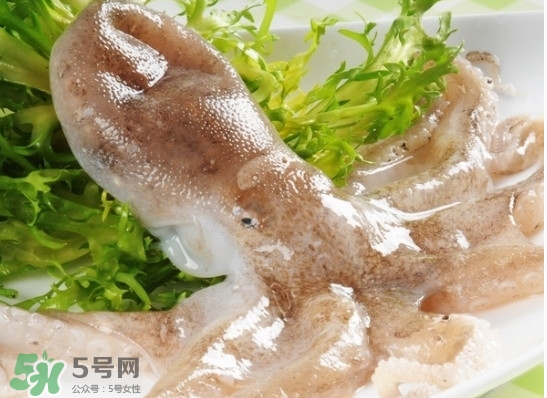 八帶魚怎么洗？八爪魚怎么處理干凈