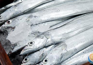 帶魚是深海魚嗎？帶魚是海鮮嗎