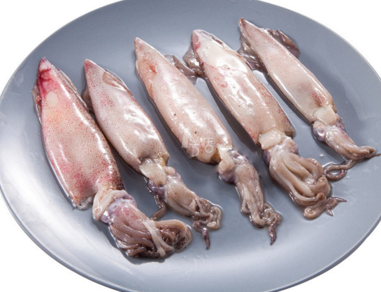 章魚是魷魚嗎？章魚和魷魚有什么區(qū)別