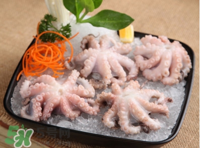 八爪魚可以生吃嗎？八爪魚生吃有寄生蟲嗎