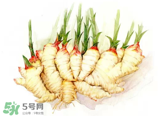 7月份可以種生姜嗎？生姜幾月份種植？