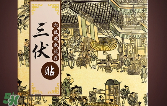貼三伏貼可以游泳嗎？貼三伏貼游泳有什么壞處？