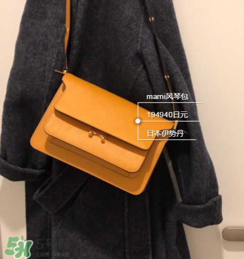 marni風(fēng)琴包尺寸多大？marni風(fēng)琴包尺寸有幾種？