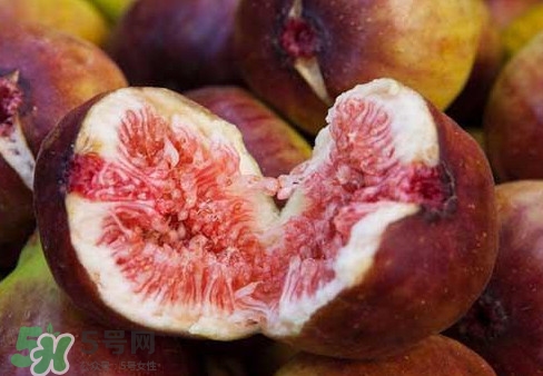無花果能治痔瘡嗎？無花果怎樣吃治痔瘡？