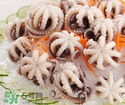 八爪魚(yú)為什么有大米？八爪魚(yú)為什么有墨汁