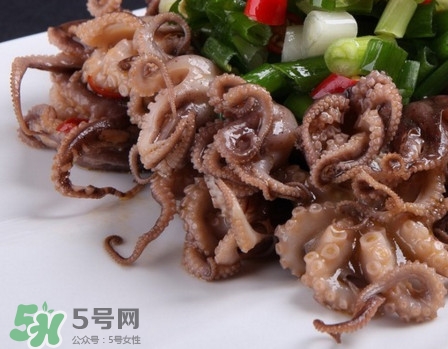 八爪魚怎么做好吃？八爪魚怎么保存