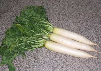 頭伏蘿卜二伏菜是什么意思？頭伏種什么菜？
