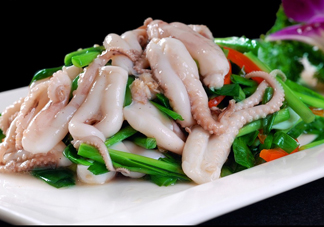八爪魚是魷魚嗎？八爪魚是章魚嗎