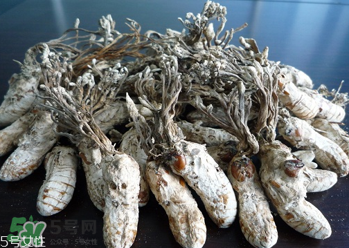 金蟬花多少錢(qián)一斤？2017金蟬花價(jià)格