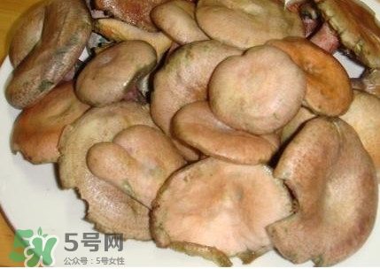 樅樹(shù)菌孕婦可以吃嗎？孕婦能吃樅樹(shù)菌嗎