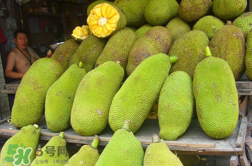 木菠蘿買來怎么吃？木菠蘿吃多了會怎樣？