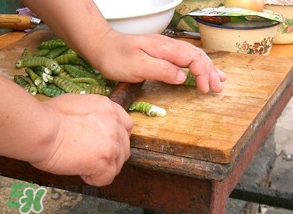豆丹做菜前怎么處理干凈？豆丹怎么養(yǎng)殖
