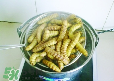 豆丹做菜前怎么處理干凈？豆丹怎么養(yǎng)殖