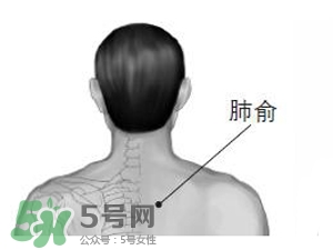 三伏貼能治過(guò)敏性鼻炎嗎？三伏貼治過(guò)敏性鼻炎貼哪里？