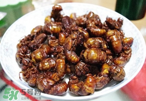 孕婦可以吃蟬蛹嗎？懷孕吃蟬蛹有沒有副作用