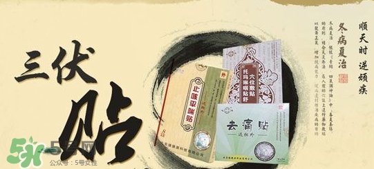 貼三伏貼掛什么科？三伏貼掛什么號？