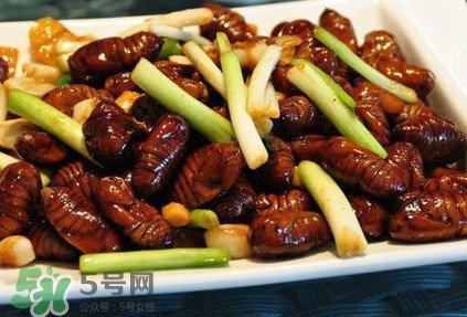 孕婦可以吃蟬蛹嗎？懷孕吃蟬蛹有沒有副作用