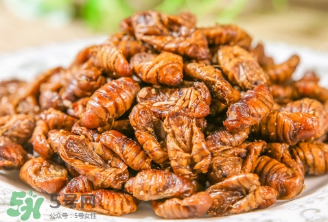 蟬蛹可以多吃嗎？蟬蛹多吃會(huì)怎么樣？