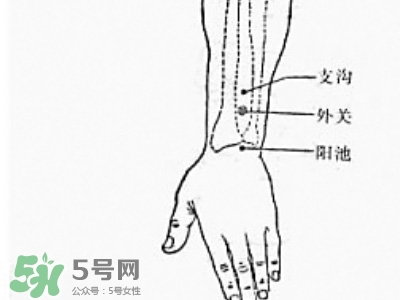 三伏貼能治過(guò)敏性鼻炎嗎？三伏貼治過(guò)敏性鼻炎貼哪里？