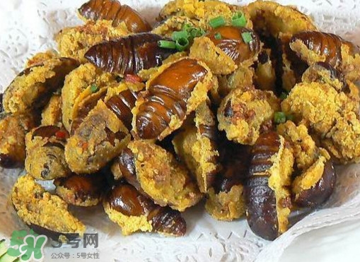 水煮蟬蛹怎么做？蟬蛹煮多久可以熟？