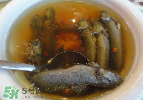 跳跳魚(yú)多少錢(qián)一斤？跳跳魚(yú)是淡水魚(yú)嗎？