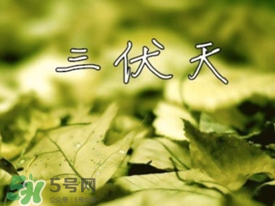 三伏天怎么坐月子？三伏天坐月子要注意什么？