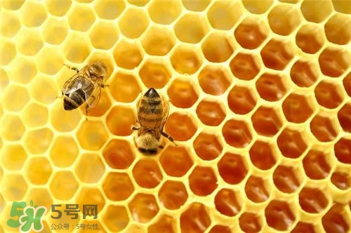 三伏貼能治過(guò)敏性鼻炎嗎？三伏貼治過(guò)敏性鼻炎貼哪里？