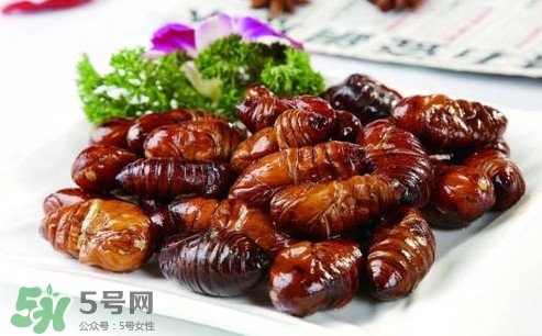 蟬蛹什么人不能吃？蟬蛹不能和什么一起吃