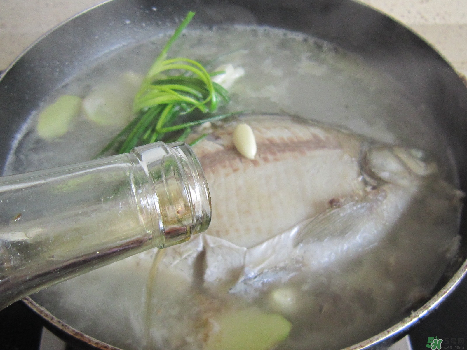 三伏灸可以吃魚嗎？三伏灸可以吃什么魚？