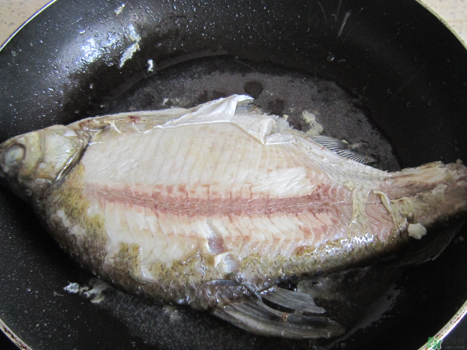 三伏灸可以吃魚嗎？三伏灸可以吃什么魚？