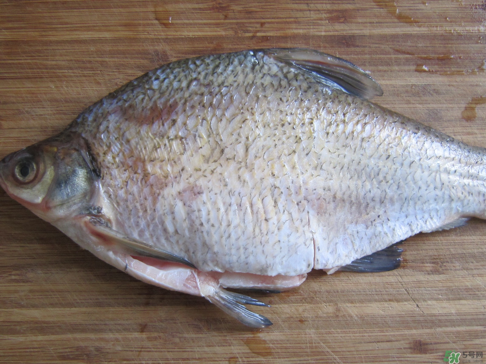 三伏灸可以吃魚嗎？三伏灸可以吃什么魚？