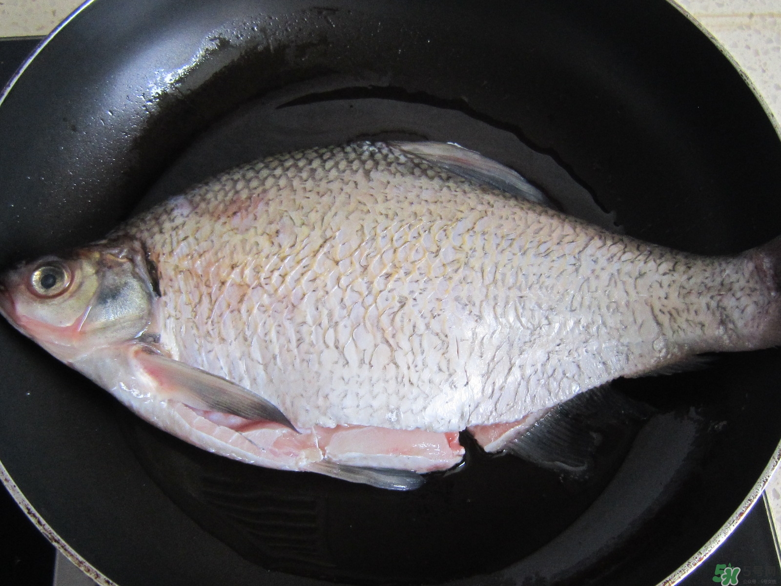 三伏灸可以吃魚嗎？三伏灸可以吃什么魚？