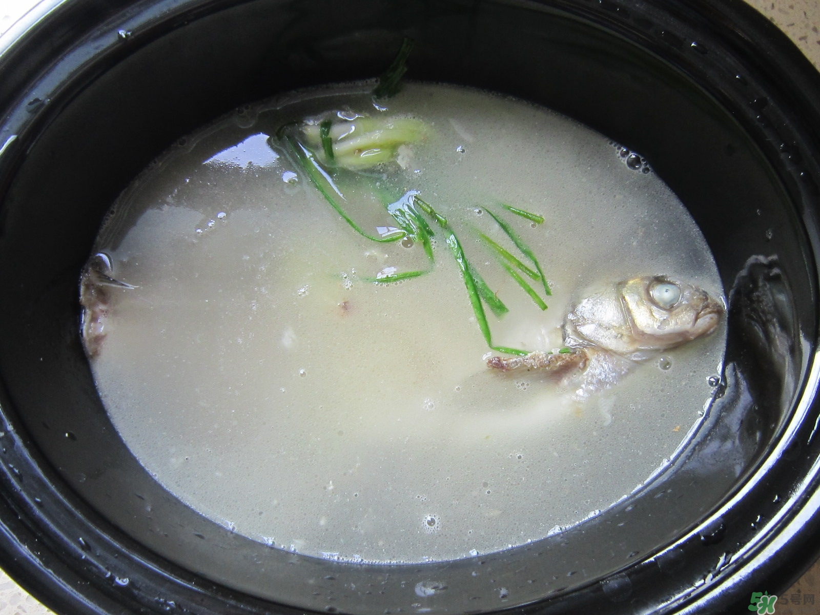 三伏灸可以吃魚嗎？三伏灸可以吃什么魚？