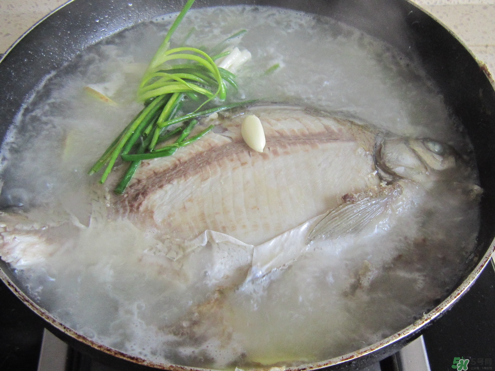 三伏灸可以吃魚嗎？三伏灸可以吃什么魚？