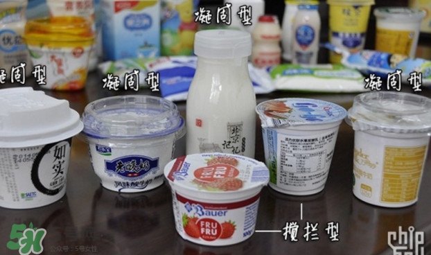 什么牌子的酸奶好？每天喝酸奶好還是純牛奶好
