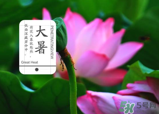 大暑和處暑是什么意思？大暑熱還是處暑熱？