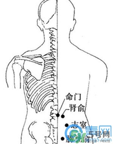 三伏灸可以治腰腿痛嗎？三伏灸治腰腿痛灸哪里》