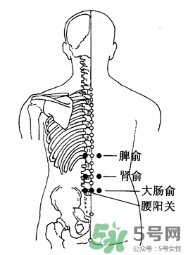 三伏灸可以治腰腿痛嗎？三伏灸治腰腿痛灸哪里》