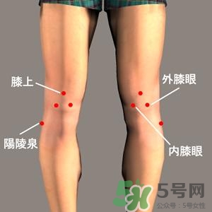 三伏灸可以治腰腿痛嗎？三伏灸治腰腿痛灸哪里》